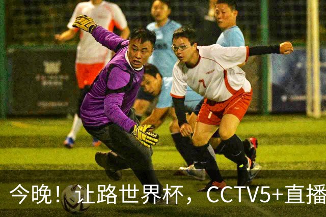 今晚！让路世界杯，CCTV5+直播中国女排VS法国，小将领衔冲击5连胜