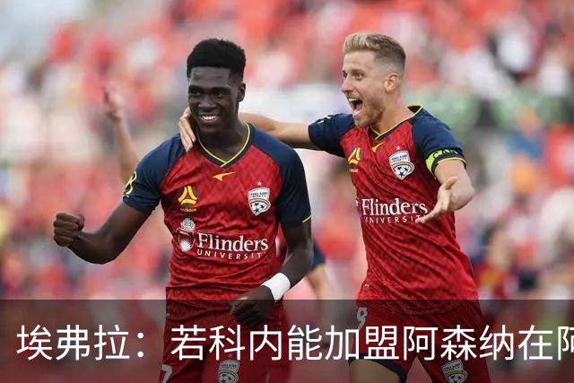 埃弗拉：若科内能加盟阿森纳在阿尔特塔手下踢球，他会大放异彩的