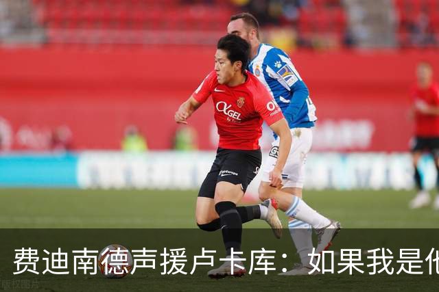费迪南德声援卢卡库：如果我是他 我可能会疯